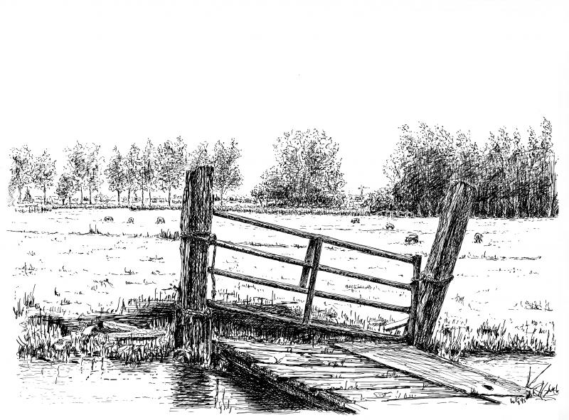 Foto 1126582570